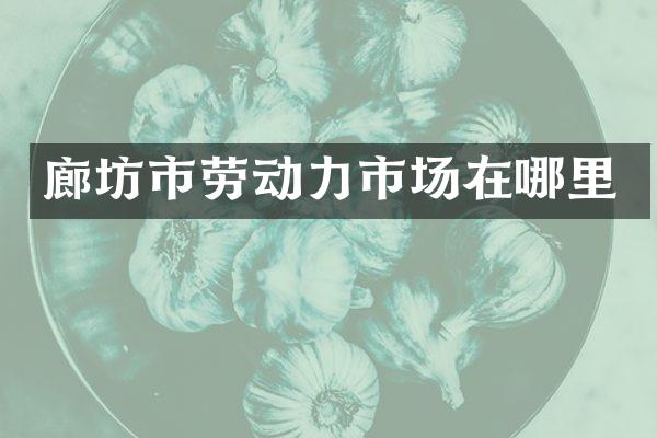 廊坊市劳动力市场在哪里