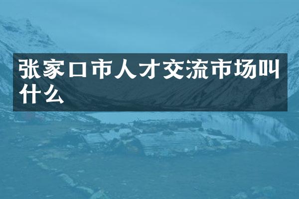 张家口市人才交流市场叫什么