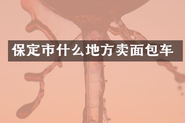 保定市什么地方卖面包车