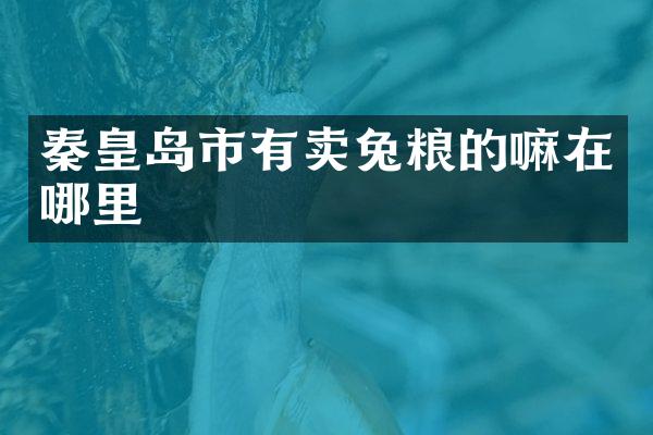 秦皇岛市有卖兔粮的嘛在哪里