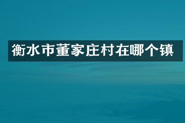 衡水市董家庄村在哪个镇