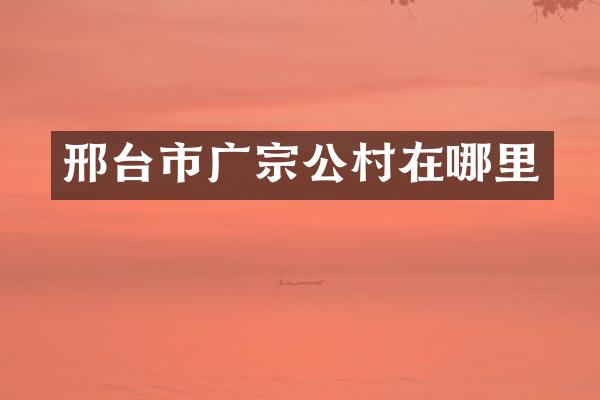 邢台市广宗公村在哪里