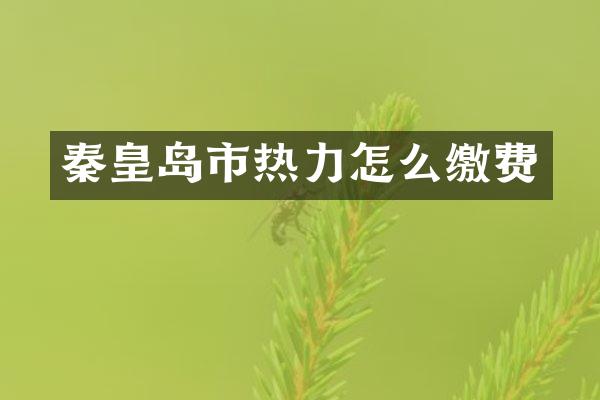 秦皇岛市热力怎么缴费