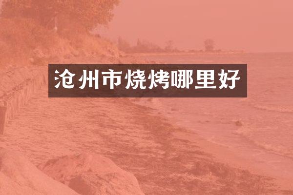 沧州市烧烤哪里好