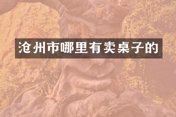 沧州市哪里有卖桌子的