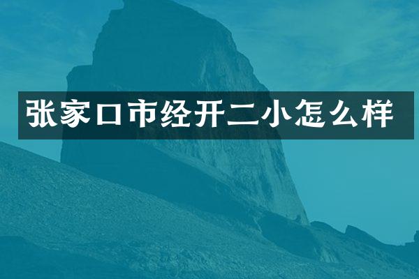 张家口市经开二小怎么样