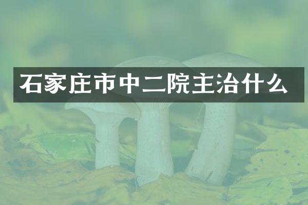 石家庄市中二院主治什么