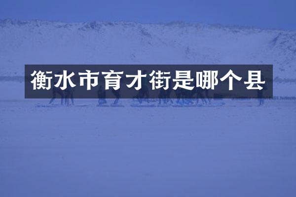 衡水市育才街是哪个县