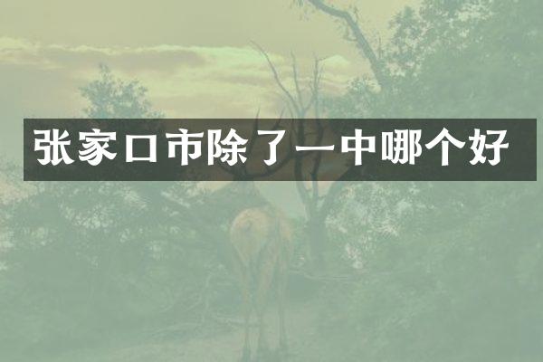 张家口市除了一中哪个好