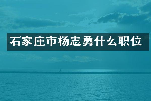 石家庄市杨志勇什么职位