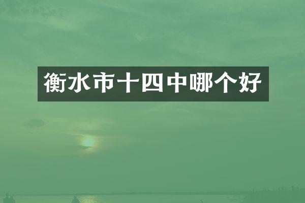 衡水市十四中哪个好