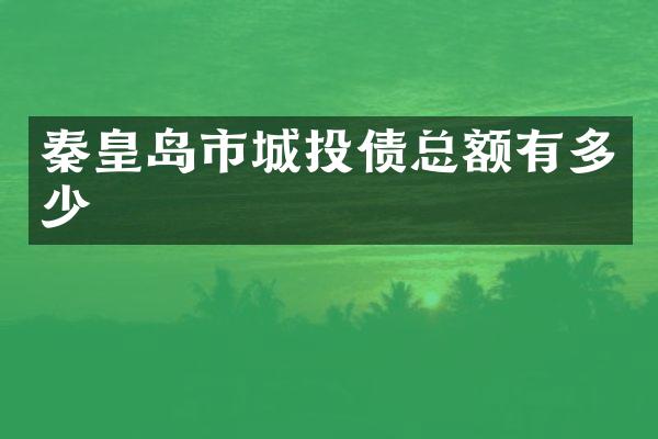 秦皇岛市城投债总额有多少