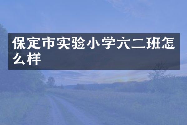 保定市实验小学六二班怎么样