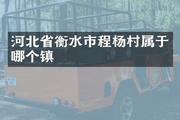 河北省衡水市程杨村属于哪个镇
