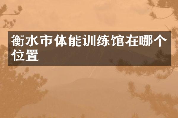 衡水市体能训练馆在哪个位置