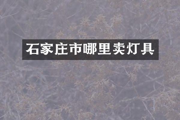 石家庄市哪里卖灯具