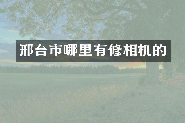 邢台市哪里有修相机的