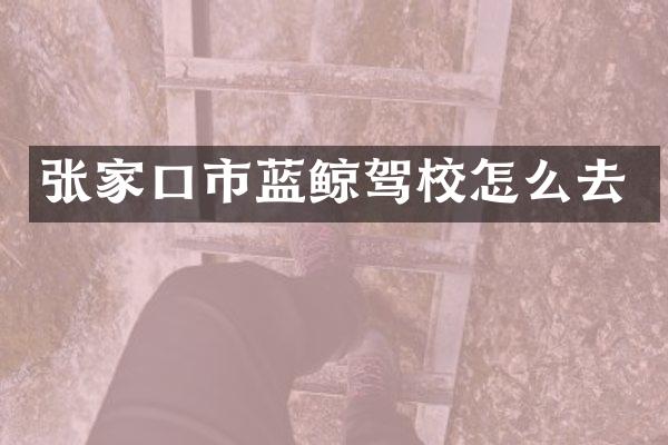 张家口市蓝鲸驾校怎么去