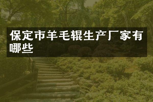 保定市羊毛辊生产厂家有哪些
