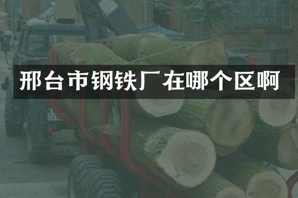 邢台市钢铁厂在哪个区啊