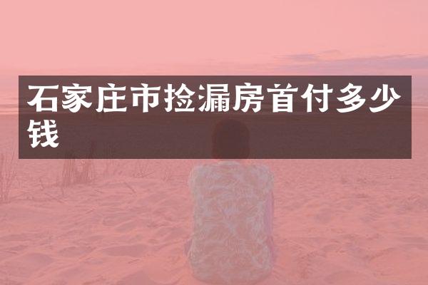 石家庄市捡漏房首付多少钱