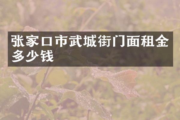 张家口市武城街门面租金多少钱