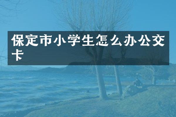 保定市小学生怎么办公交卡