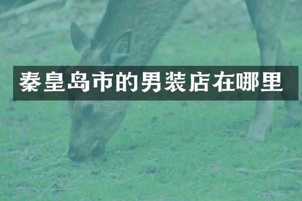秦皇岛市的男装店在哪里