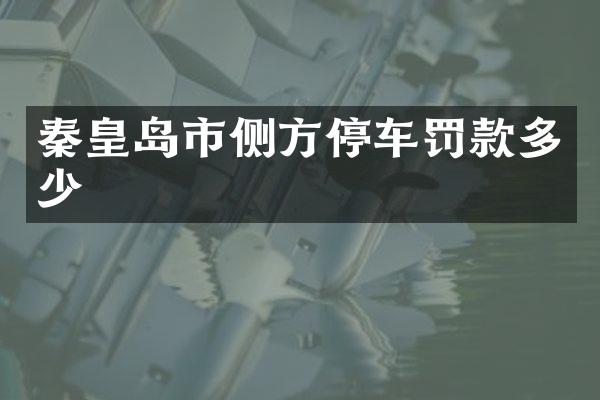 秦皇岛市侧方停车罚款多少