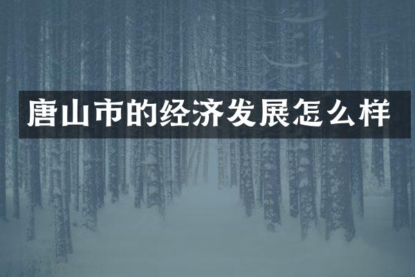 唐山市的经济发展怎么样
