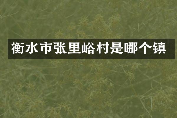 衡水市张里峪村是哪个镇