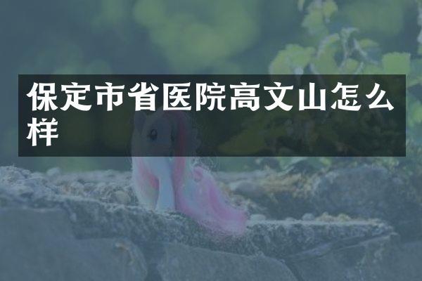 保定市省医院高文山怎么样