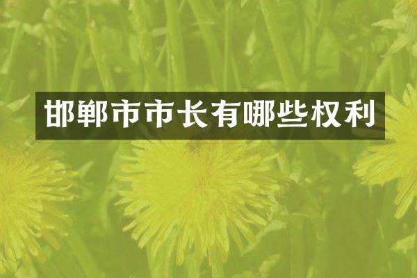 邯郸市市长有哪些权利
