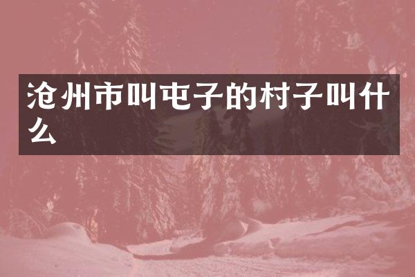沧州市叫屯子的村子叫什么