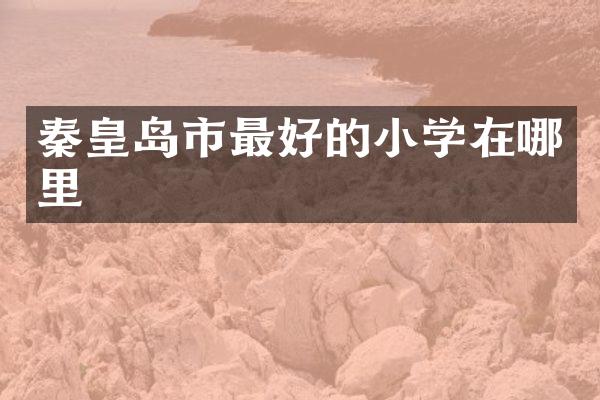 秦皇岛市最好的小学在哪里