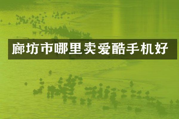 廊坊市哪里卖爱酷手机好