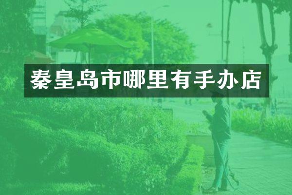 秦皇岛市哪里有手办店