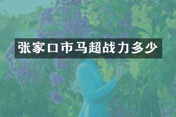 张家口市马超战力多少
