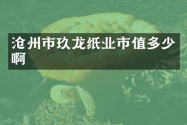沧州市玖龙纸业市值多少啊