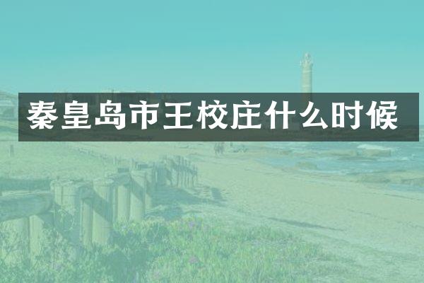 秦皇岛市王校庄什么时候