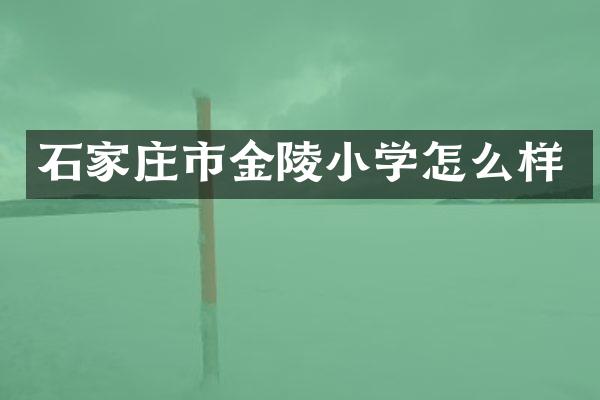 石家庄市金陵小学怎么样