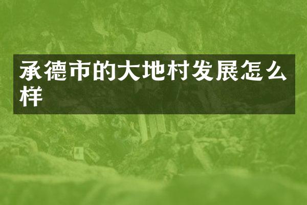承德市的大地村发展怎么样