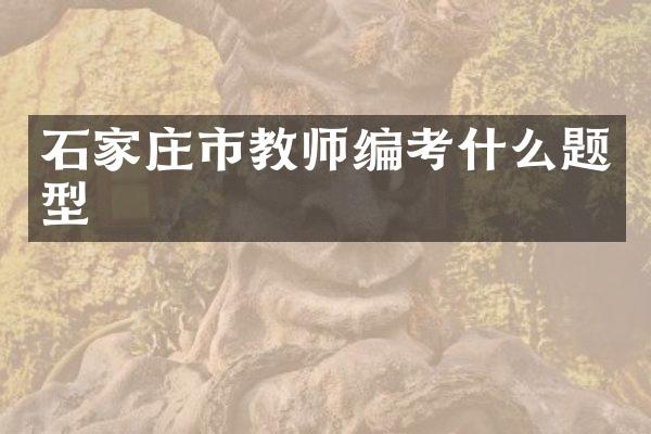 石家庄市教师编考什么题型