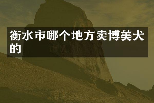 衡水市哪个地方卖博美犬的