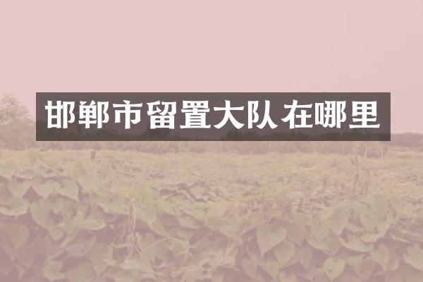 邯郸市留置大队在哪里