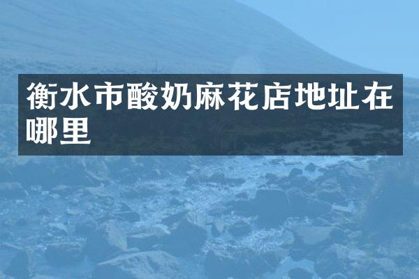 衡水市酸奶麻花店地址在哪里