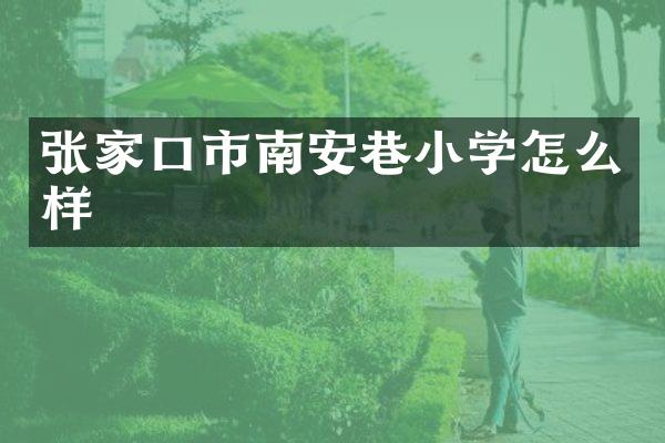 张家口市南安巷小学怎么样