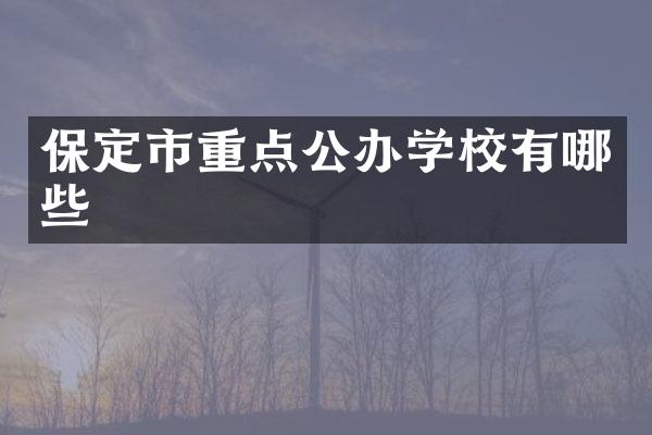保定市重点公办学校有哪些