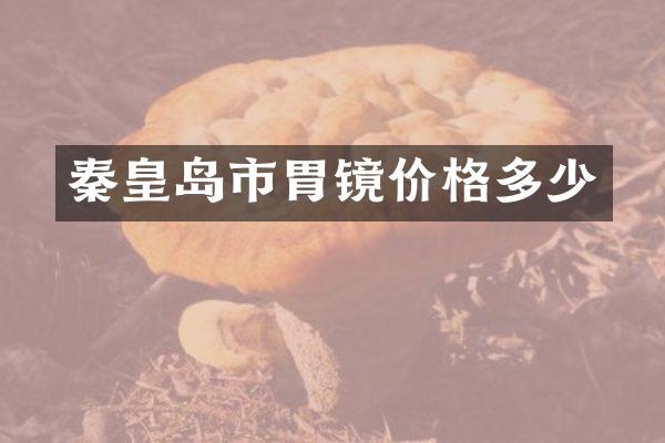 秦皇岛市胃镜价格多少