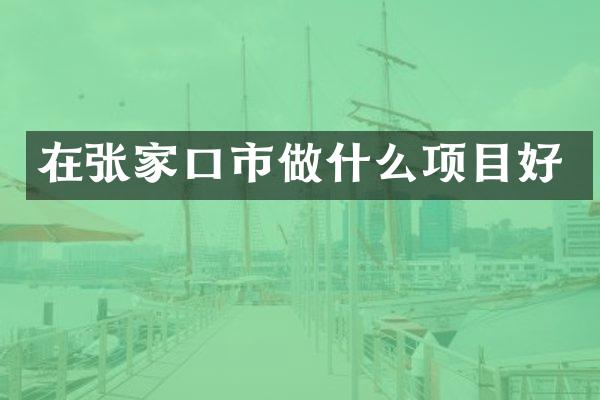 在张家口市做什么项目好
